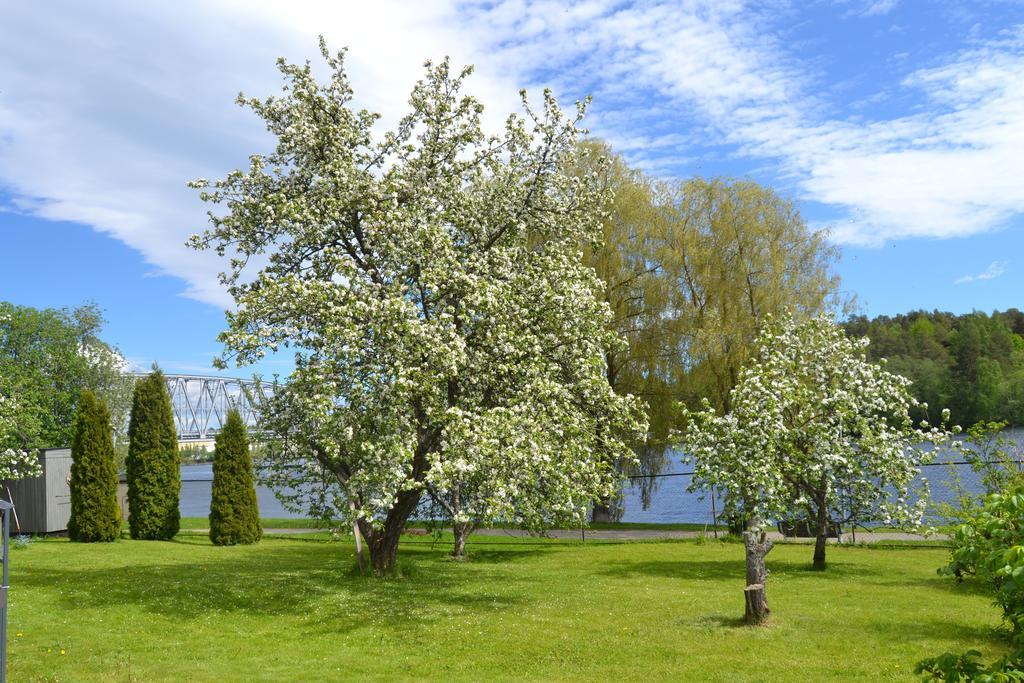 Lossiranta Lodge Savonlinna Bagian luar foto